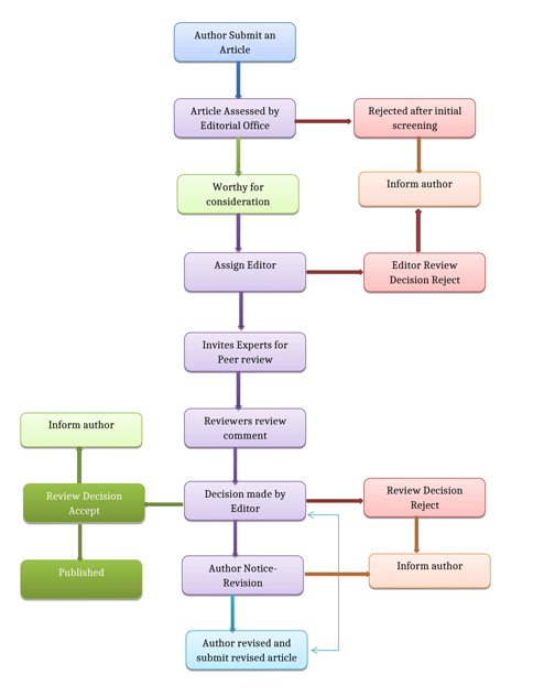 The Peer Review Process